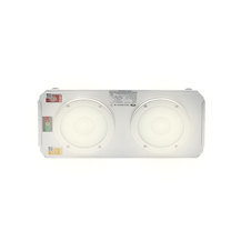 惠乐为 应急照明灯 乐惠LH-ZFZD-E5W 220V 5W (银色)