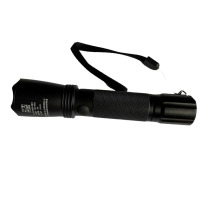 大地之光 LED多功能强光巡检灯 DDZG-BN002 3W (白光)