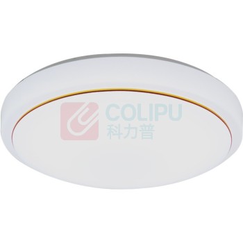 雷雷智光 声控灯 led48 50cm