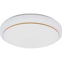雷雷智光 声控灯 led48 50cm