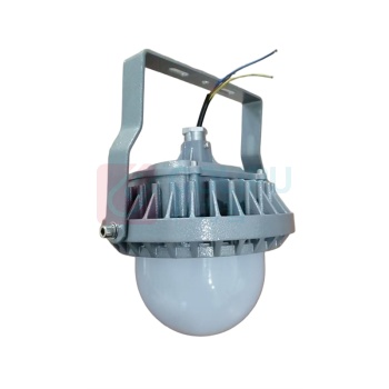 鼎辉照明 DINGHUIZHAOMING 三防灯 BFDH6032-100W 功率:100W,光源:LED,防护等级:IP66,配置单灯控制器,具备智能调光功能