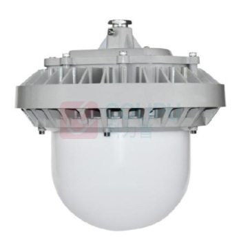 鼎辉照明 DINGHUIZHAOMING 三防灯 BFDH6032-100W 功率:100W,光源:LED,防护等级:IP66,配置单灯控制器,具备智能调光功能