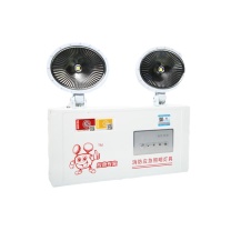 明特佳 MINGTEJIA LED双头应急灯 MTJ-ZYD2001 5W (白色) IP67 续航时间≥90min AC220V 5700K