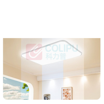 雷士(NVC) 吸顶灯 吸顶灯 1个/个 销售单位:个 (吸顶灯\48W 220V LED 铝合金) (计量单位:个)