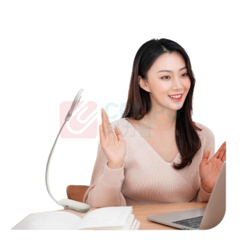 飞利浦 PHILIPS 夹子灯 66200 酷荷 (白)