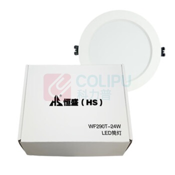 恒盛 LED筒灯 WF290T-24W 24V 24W IP65 LED 5700K