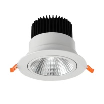虎光风行 LED筒灯 HG705 20W (白色) 防护等级:IP65 电压等级:AC220V 色温:6000K