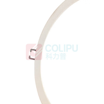 飞利浦 PHILIPS LED筒灯 DN200 16W G3 LED15 840 D175 CN