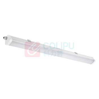 通明 TORMIN 防水防尘灯 ZY5321-L48 AC220-240V 48W 防护等级IP66 5000K (白色)