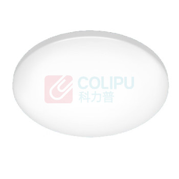 飞利浦 PHILIPS LED 吸顶灯 9290026423 20W 6500K IP44 (白色)