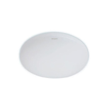 飞利浦 PHILIPS LED 吸顶灯 9290026423 20W 6500K IP44 (白色)