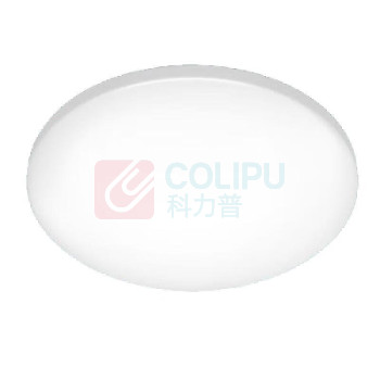 飞利浦 PHILIPS LED 吸顶灯 9290026423 20W 6500K IP44 (白色)