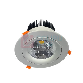 深照紫光 LED吸顶天花灯 GS4560 12W 220V 色温5000K (白色)