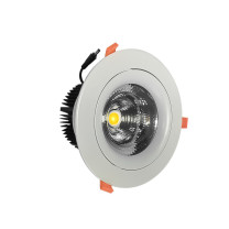 深照紫光 LED吸顶天花灯 GS4560 20W 220V 色温5000K (白色)