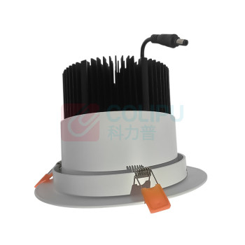深照紫光 LED吸顶天花灯 GS4560 20W 220V 色温5000K (白色)
