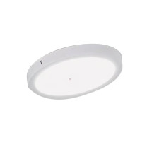 惠乐为 LED圆形吸顶灯 乐惠AL8030 220V ≤24W IP20 (银色)