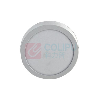 惠乐为 LED圆形吸顶灯 乐惠AL8030 220V ≤24W IP20 (银色)