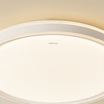 飞利浦 PHILIPS 吸顶灯 50W 可调色温 智能控制 50W 220V (银白色)