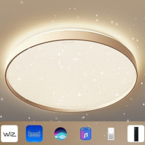 飞利浦 PHILIPS 吸顶灯 智控款 调节色温3000/4000/6500K智能控制 24W 220V (棕色)