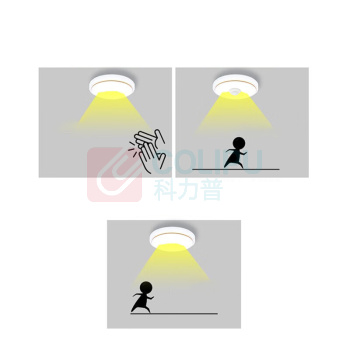 雷雷智光 LED吸顶灯 人体40cm-LED24W 人来灯亮 雷达人体感应声光控面包灯