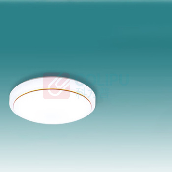 雷雷智光 LED吸顶灯 人体40cm-LED24W 人来灯亮 雷达人体感应声光控面包灯