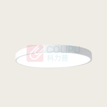 NORTTON LED吸顶灯 NT201-15 220V,圆形,15w,直径150MM