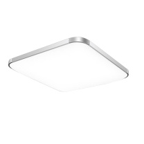 雷雷智光 LED吸顶灯 60*60-led48W 白光 (银色款)