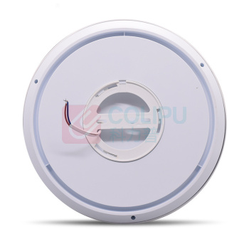 雷发 LED吸顶灯 LF-XD-24-0IT 3000K IP65
