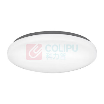 佛山照明(FSL) 吸顶灯 AD25W200B LED 密封型 18W 吸顶式 无 塑料;铝合金;亚克力;玻璃 工程塑料 中性白4000K;冷白6500K 220V 1个/个 个