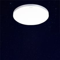 飞利浦 PHILIPS LED吸顶灯 9290031827 36W (银色)