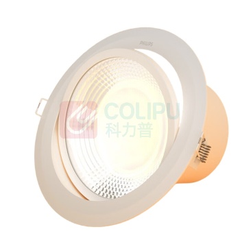 飞利浦 PHILIPS led射灯天花灯超亮牛眼灯嵌入式 RS100B 27W (3000K)开孔150-160mm