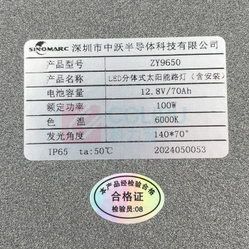 中跃 路灯 ZY9650 3500K-6500KLED太阳能路灯100W不含灯杆和安装