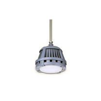 飞利浦 PHILIPS 隔爆型LED平台灯 BY950P 1个 (本色)