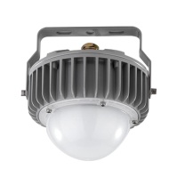 维莱奥斯 LED平台灯 (含安装) X-PTD1001-G 50W 5700K IP66 WF2 220V (银色)
