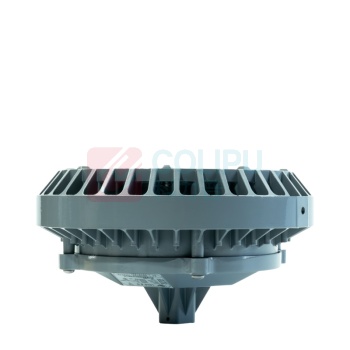 维莱奥斯 LED平台灯 PTD1002 70W 2700-7000K IP65 WF2 220V (银色) LED支架安装