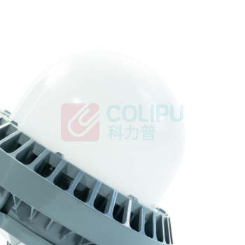 维莱奥斯 LED平台灯 PTD1002 70W 2700-7000K IP65 WF2 220V (银色) LED支架安装