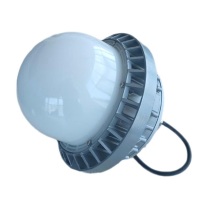 维莱奥斯 LED平台灯 PTD1001 50W 2700-7000K IP65 WF2 220V (银色) LED吊杆安装