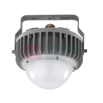 维莱奥斯 LED平台灯 PTD1001 50W 2700-7000K IP65 WF2 220V (银色) LED支架安装