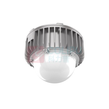 维莱奥斯 LED平台灯 PTD1001 30W 2700-7000K IP65 WF2 220V (银色) LED支架安装