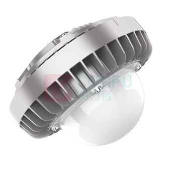 维莱奥斯 LED平台灯 PTD1001 30W 2700-7000K IP65 WF2 220V (银色) LED支架安装