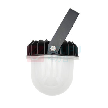 中跃 LED防眩平台灯 ZY9145-50W IP65 电压220V 白光 (黑色)