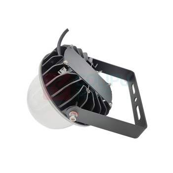 中跃 LED防眩平台灯 ZY9145-50W IP65 电压220V 白光 (黑色)