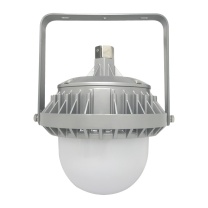 LHDQ 领航电器 LED平台灯 LHF2109-B 50W (灰色) 含安装支架 220V 冷光 IP65 色温6000K 光源类型LED