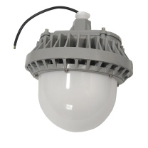 LHDQ 领航电器 LED平台灯 LHF2109C 50W (灰色) IP65 220V 冷光 色温6000K 光源类型LED