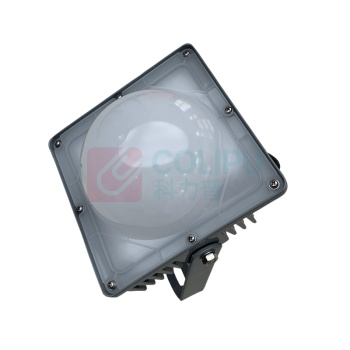 LHDQ 领航电器 LED平台灯 LHF2107 50W (灰色) 220V 冷光 IP65 色温6000K 光源类型LED
