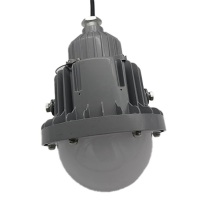 元润 LED平台灯 YRZ2430 IP66 φ176*250mm 3000-6000K 3.4kg 压铸铝+钢化玻璃/PC 50W 110-260V (灰白色)