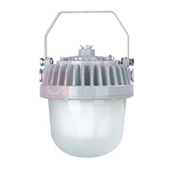 恒盛 LED平台泛光灯 WF211D 60W IP65 AC220V 白光/5700K