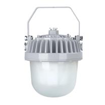 恒盛 LED平台泛光灯 WF211D 60W IP65 AC220V 白光/5700K