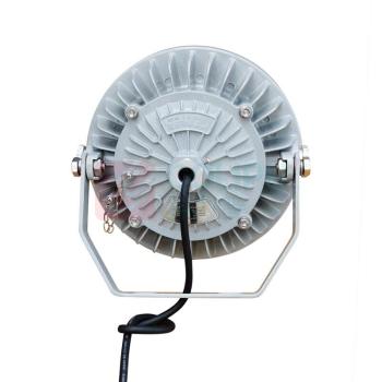 恒盛 LED平台泛光灯 WF211D 60W IP65 AC220V 白光/5700K