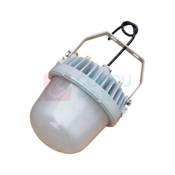 恒盛 LED平台泛光灯 WF211D 60W IP65 AC220V 白光/5700K